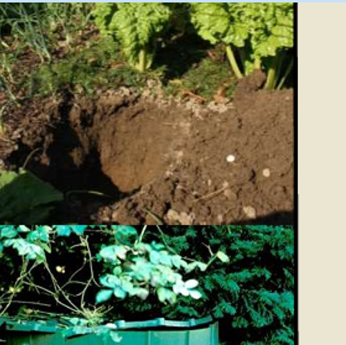 Gartenboden - Nachrichten aus dem Untergrund